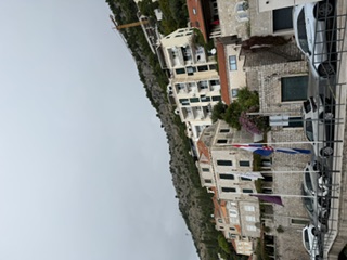 Stone villas climbing the hillside above Dubrovnik's harbor