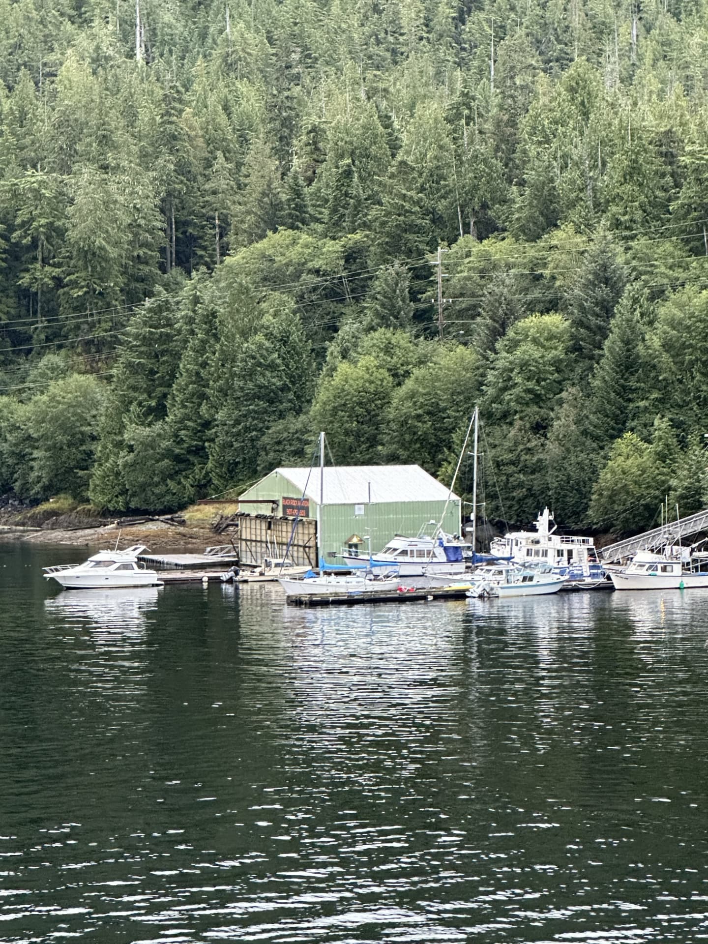 Green boathouse and moored boats at a small Alaska marina surrounded by evergreen forest Green boathouse and moored boats at a small Alaska marina surrounded by evergreen forest