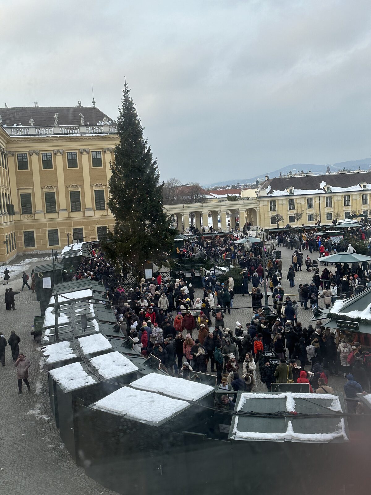 Crowds and snow-topped market huts around the Christmas tree at Schönbrunn Palace in Vienna, December 2024 Danube Christmas Markets river cruise